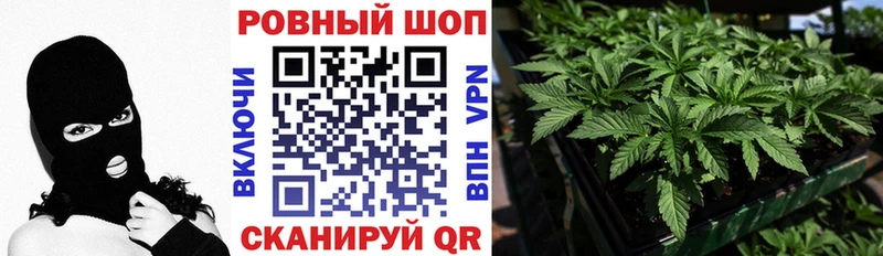 А ПВП Мураши
