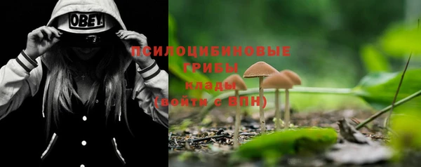 a pvp Медногорск