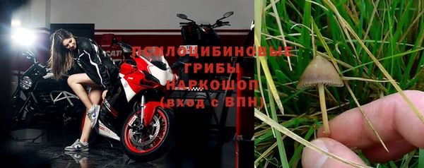 a pvp Медногорск