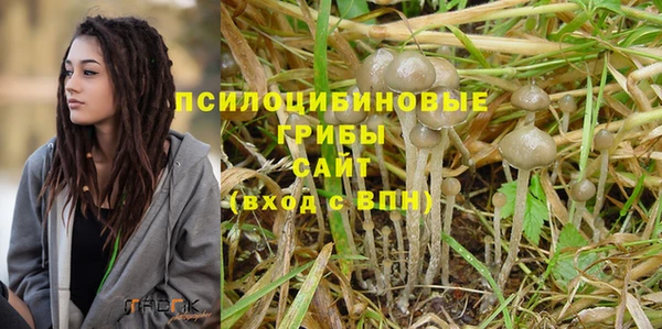 Альфа ПВП Майский