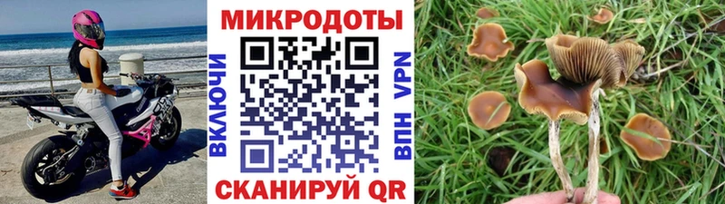 Галлюциногенные грибы мухоморы  Мураши 