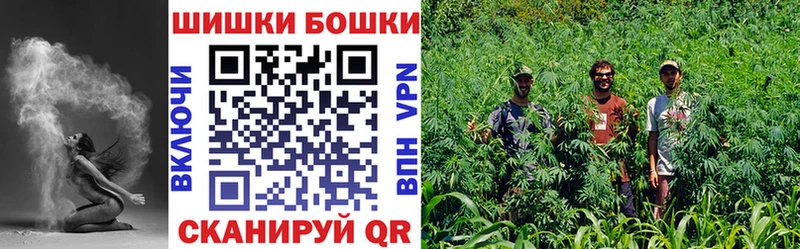 где найти   Мураши  Конопля Amnesia 